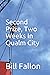 Second Prize, Two Weeks In Qualm City by Bill Fallon