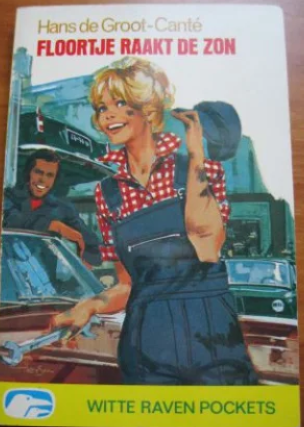 Floortje raakt de zon (Paperback)