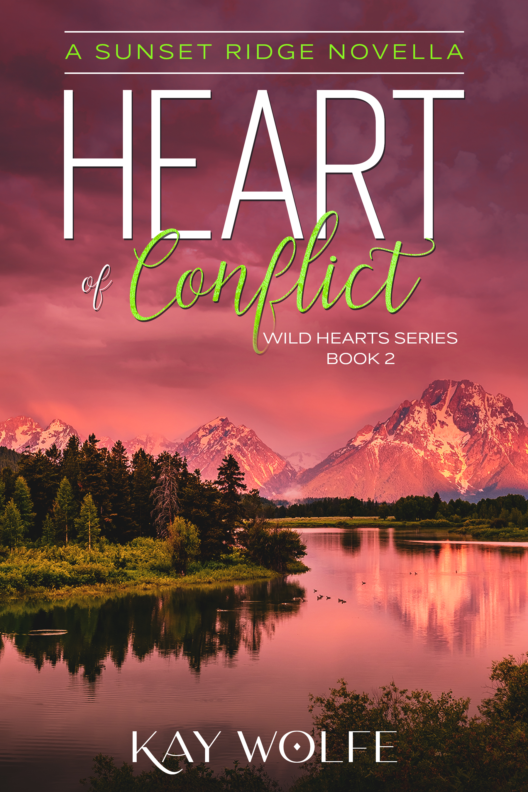 Heart of Conflict (Wild Hearts #2)