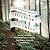 To Speak for the Trees by Diana Beresford-Kroeger To Speak for the Trees by Diana Beresford-Kroeger