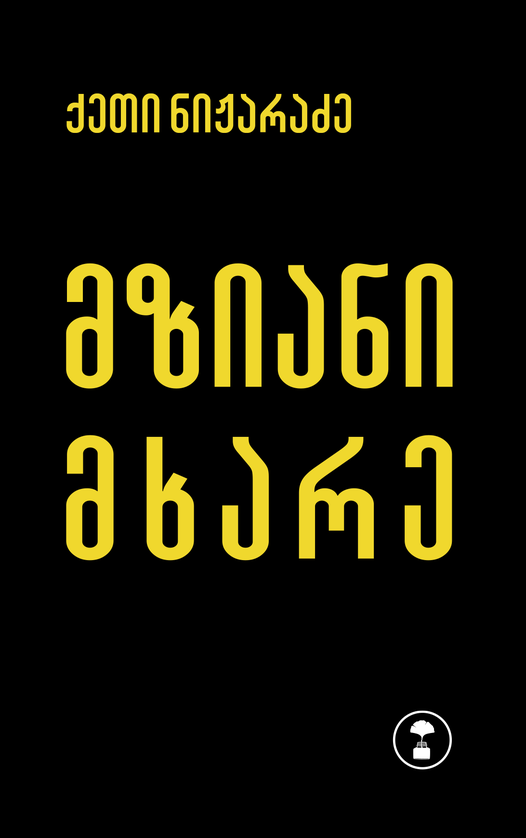 მზიანი მხარე (Paperback)