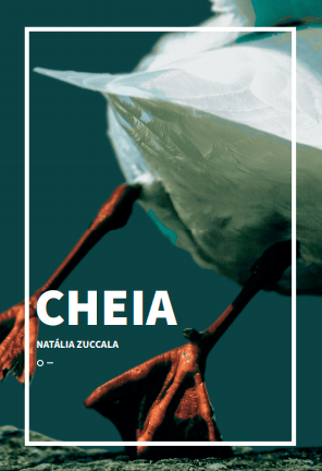 Cheia (Paperback)