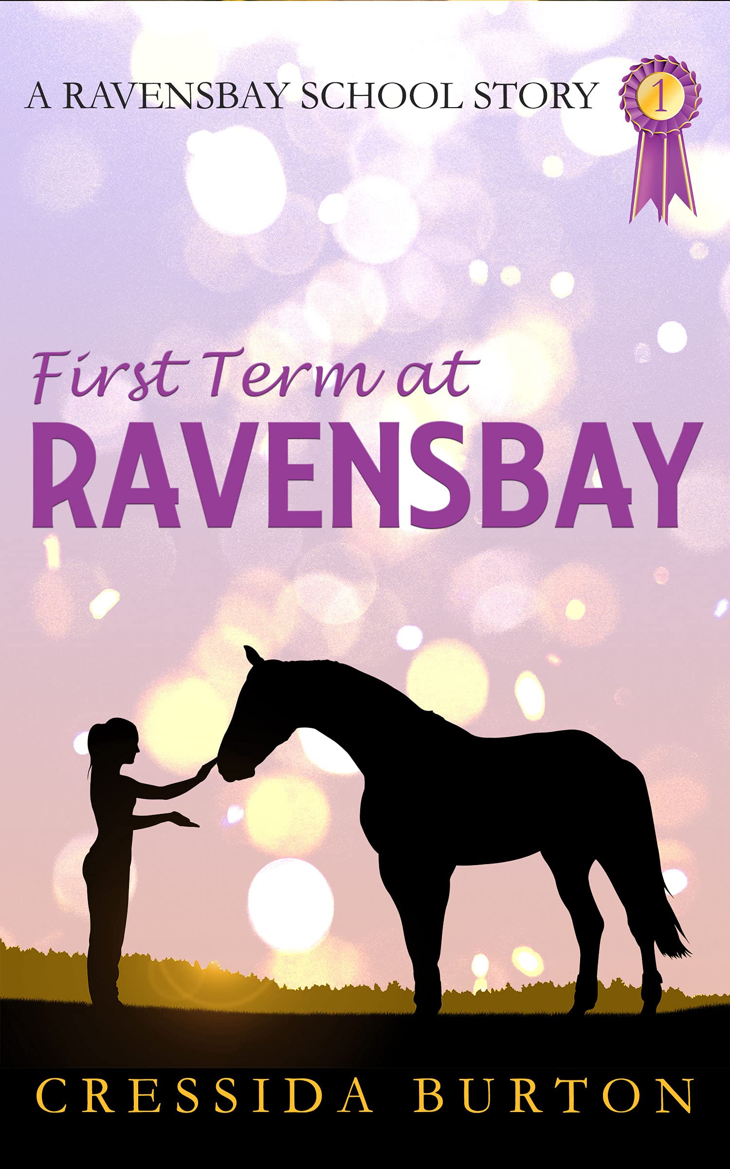 First Term at Ravensbay (The Ravensbay School Stories Book 1)