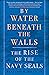 By Water Beneath the Walls: The Rise of the Navy SEALs