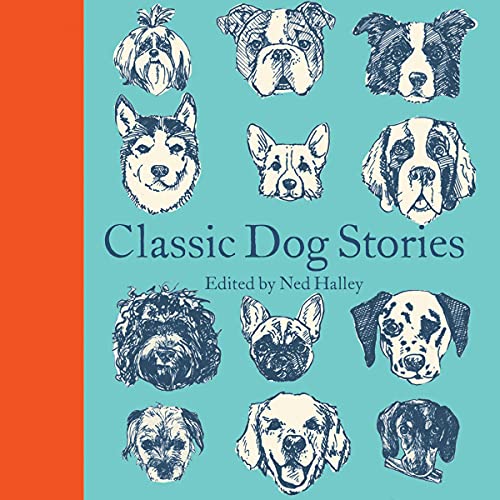 Classic Dog Stories (Macmillan Collector's Library, #304)