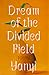 Dream of the Divided Field:...