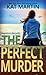 The Perfect Murder (Maximum Security, 4)