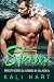 Storm (Brothers in Arms in ...