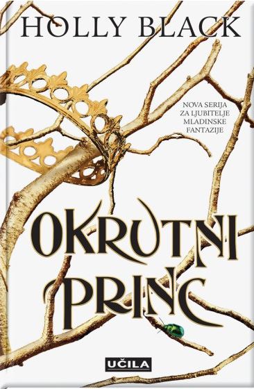 Okrutni princ (Ljudstvo zraka, #1)