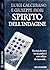 Spirito dell'indagine