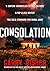 Consolation (Hirsch, #3)