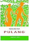Pulang by Toha Mohtar