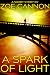 A Spark of Light