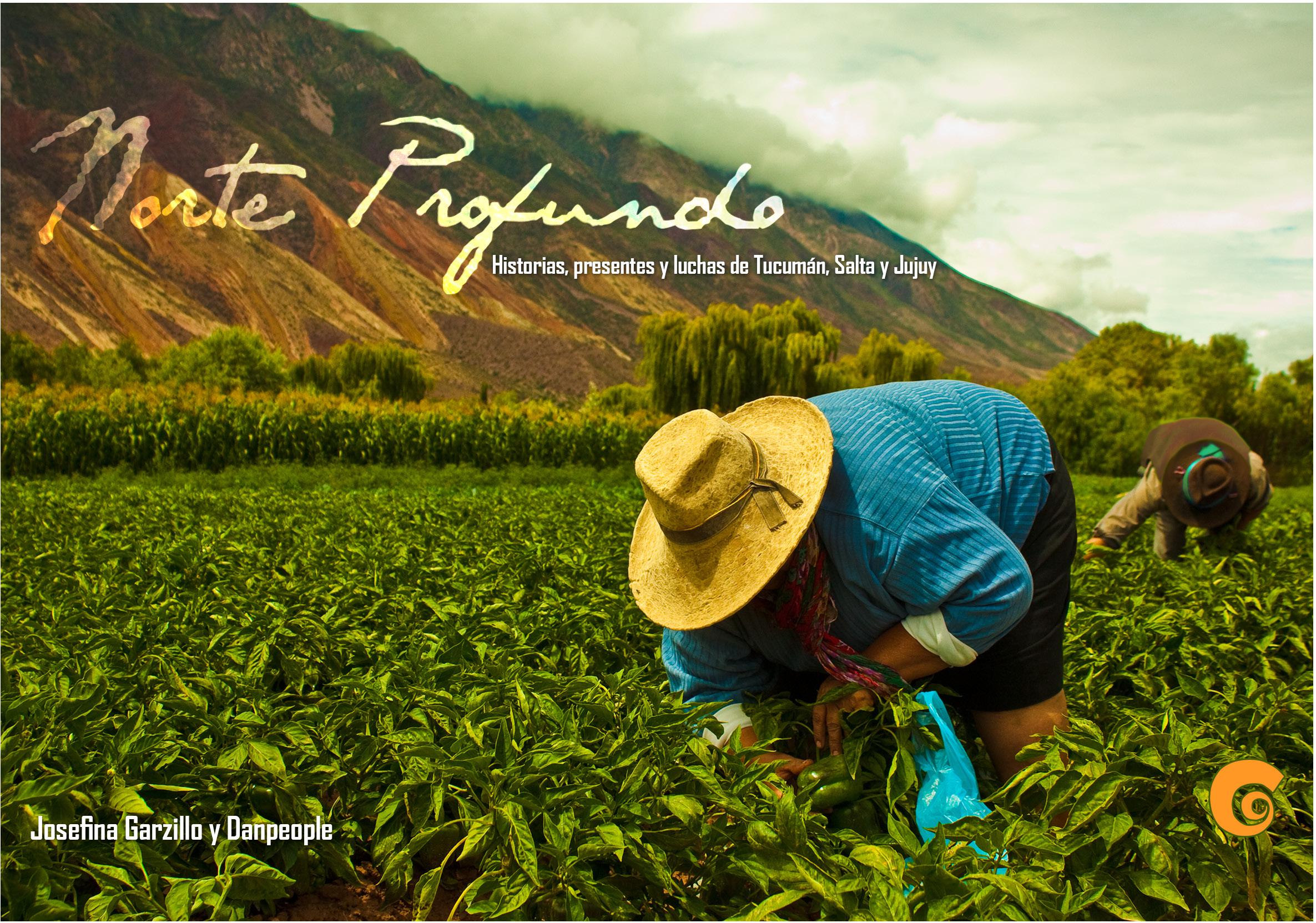 Norte profundo: Historias, presentes y luchas de Tucumán, Salta y Jujuy