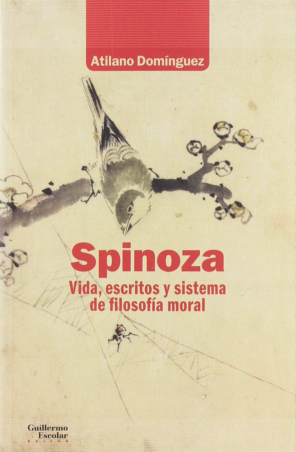 Spinoza: Vida, escritos y sistema de filosofía moral (Paperback)