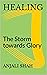HEALING: The Storm towards ...
