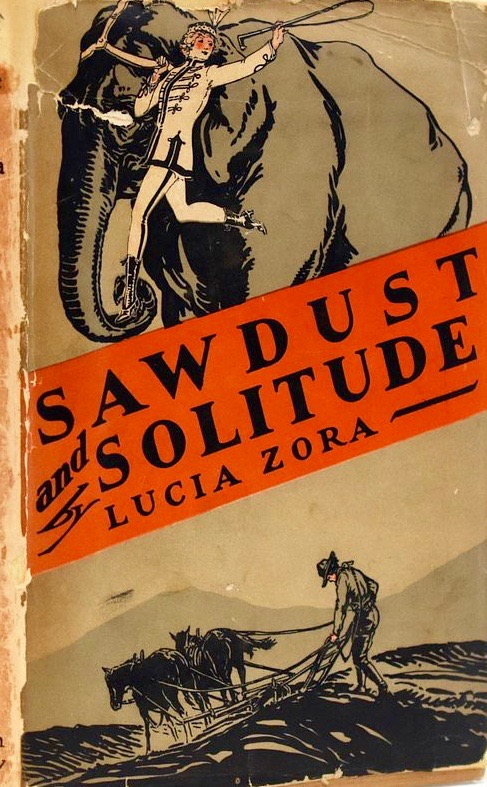 Sawdust and Solitude (Hardcover)