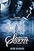 Into the Storm (Full Circle...