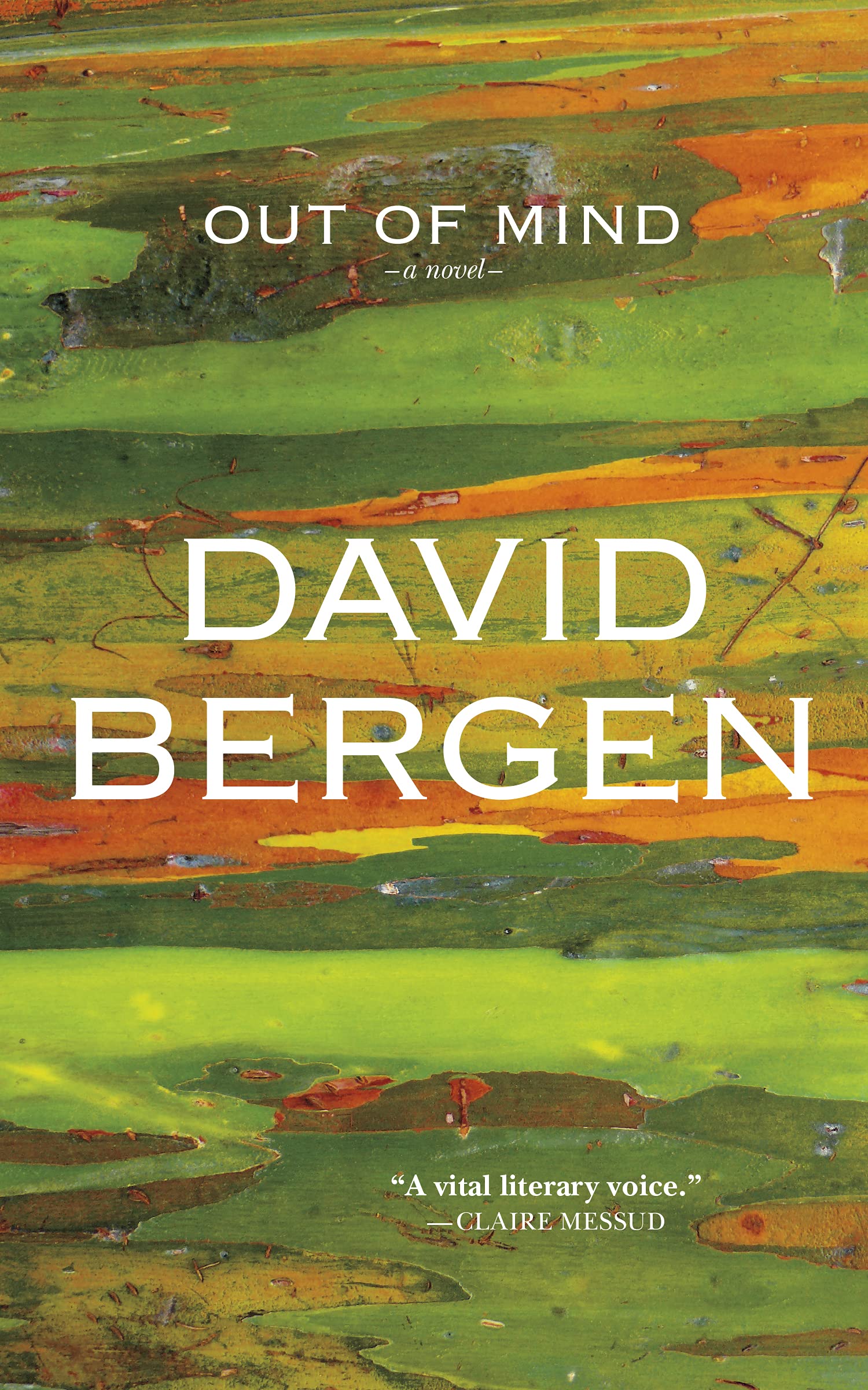 Out of Mind (Paperback)