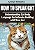 HOW TO SPEAK CAT: UNDERSTAN...