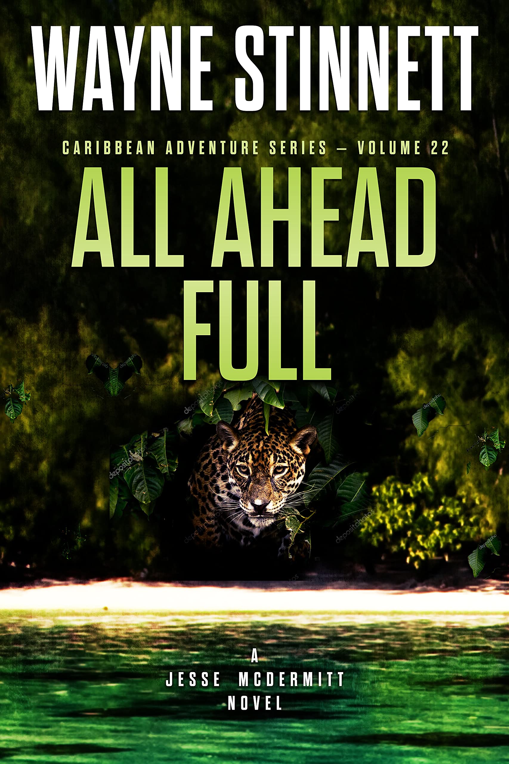 All Ahead Full (Jesse McDermitt Caribbean Adventure, #22)