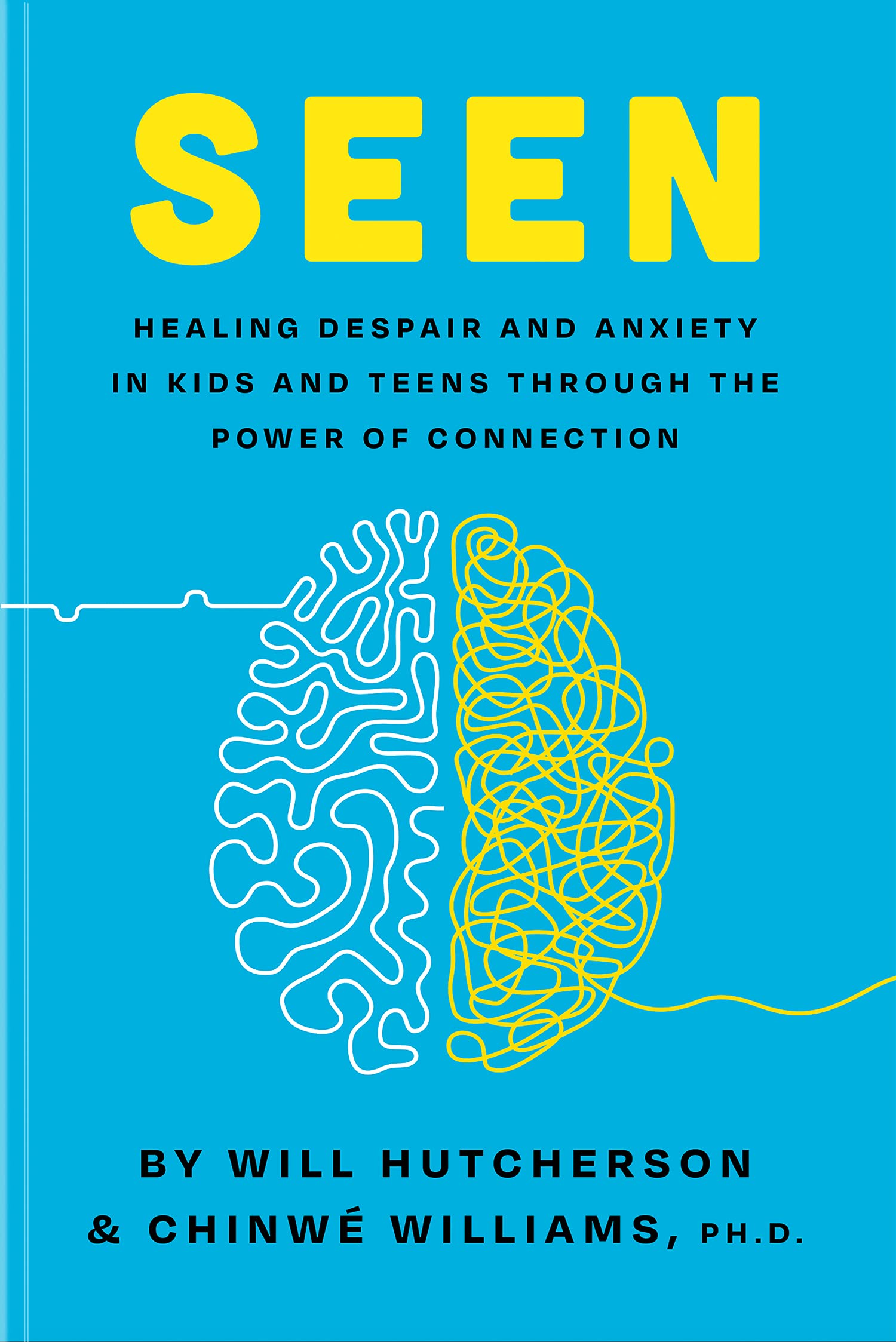 Seen: Despair and Anxiety in Kids and Teenagers and the Power of Connection (Paperback)