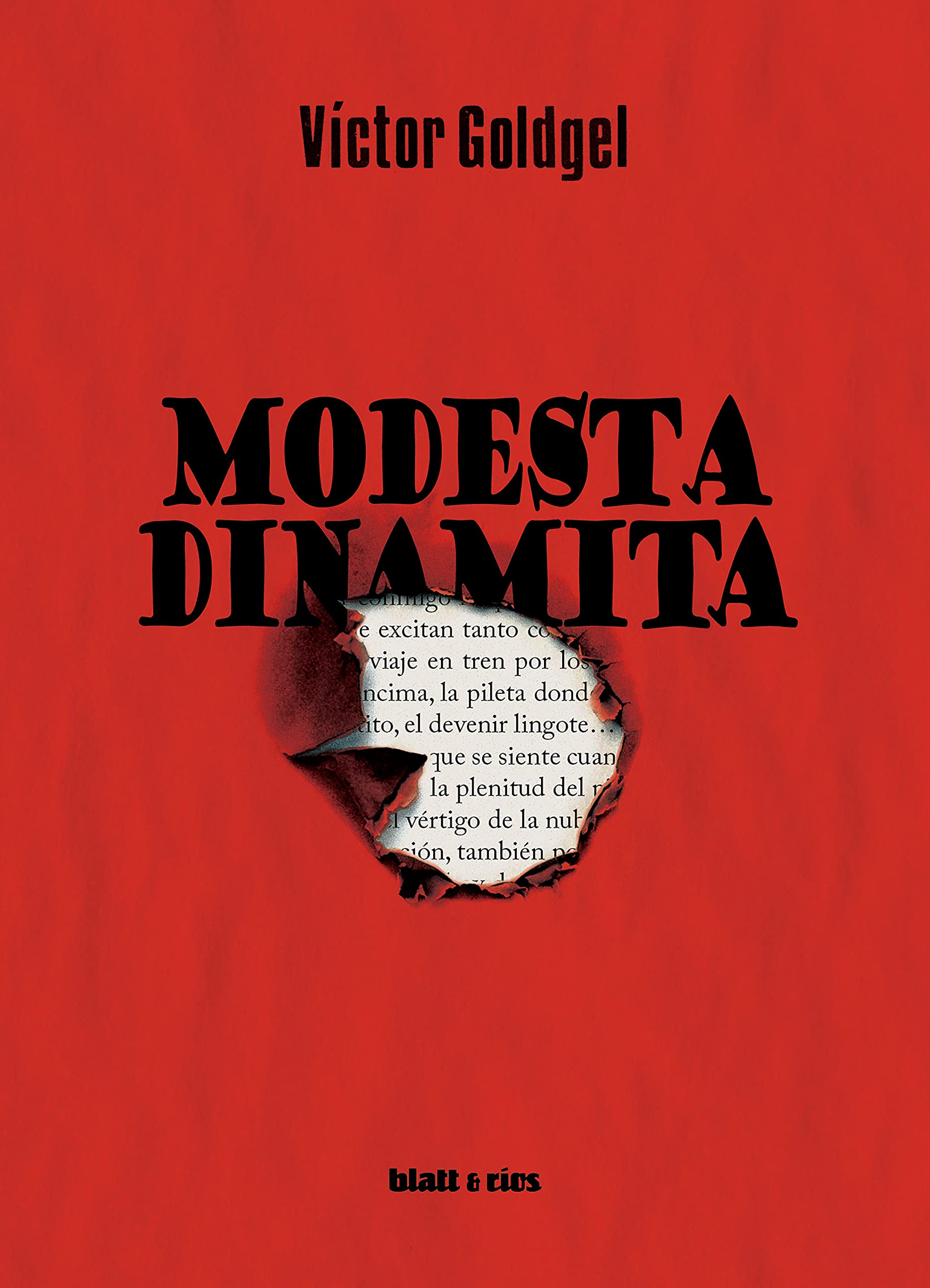 Modesta dinamita (Spanish Edition)