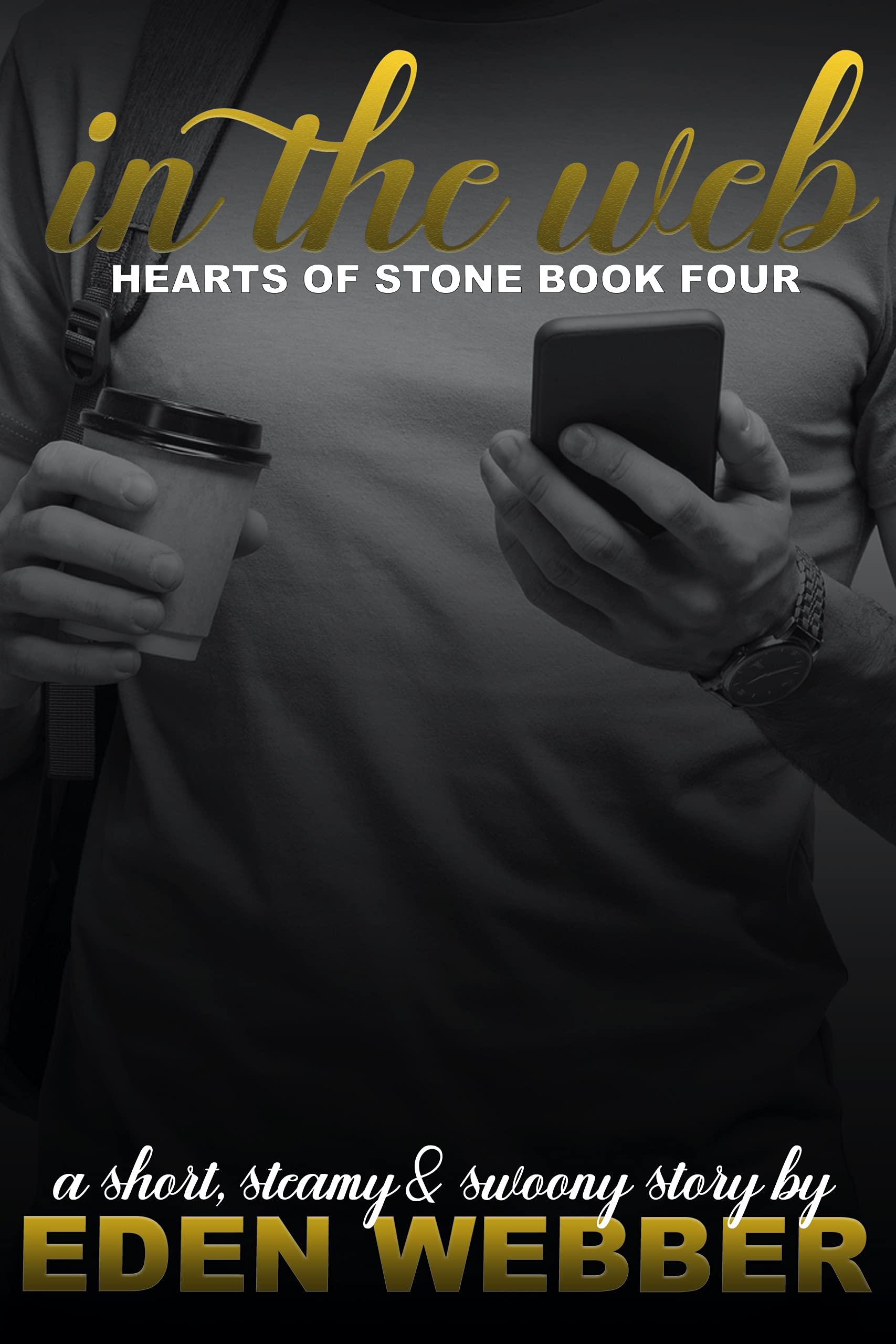 In the Web: A Virgin Hero & Friends to Lovers Romance Novella (ebook)