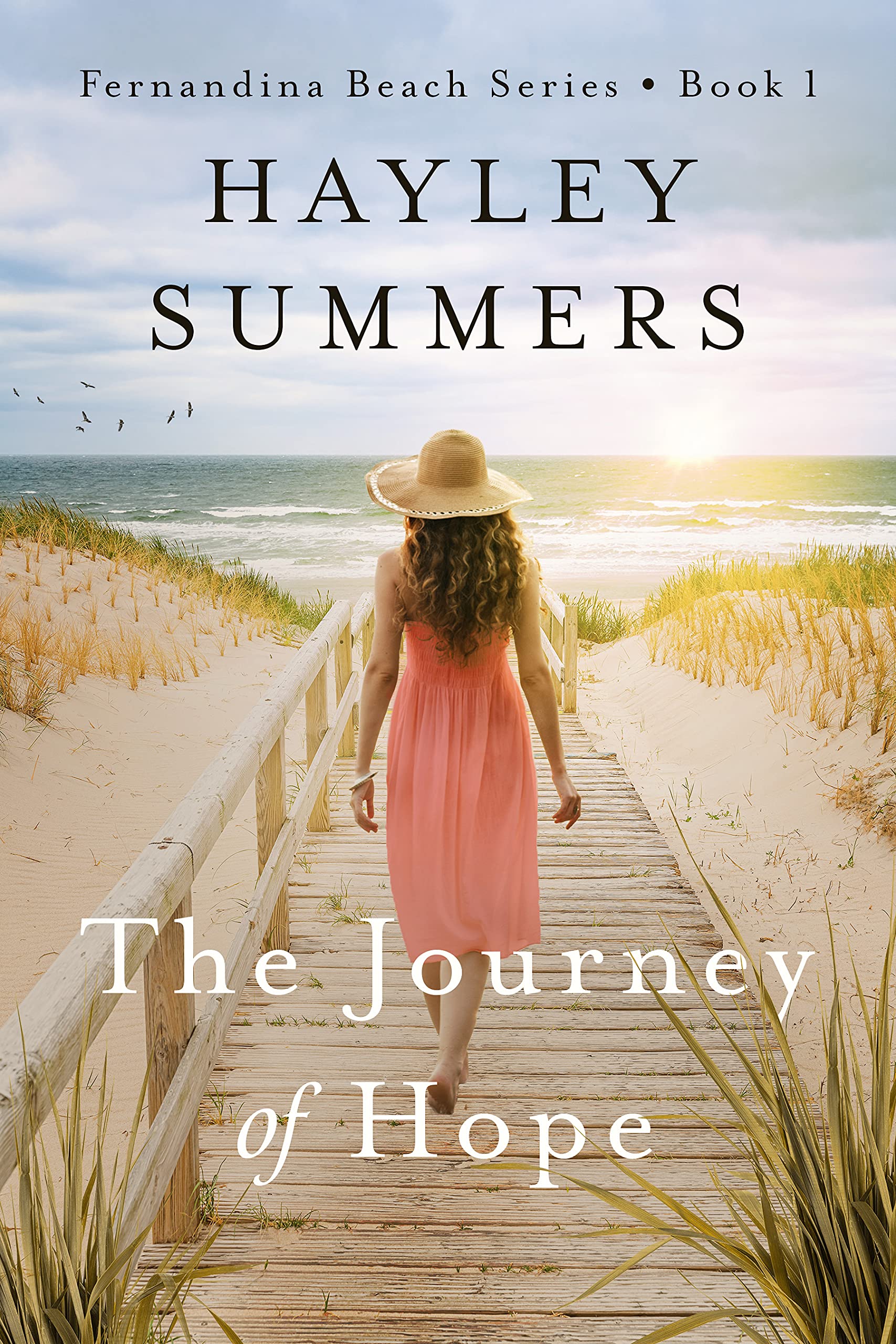 The Journey Of Hope 1 (Fernandina Beach Series Book 1)