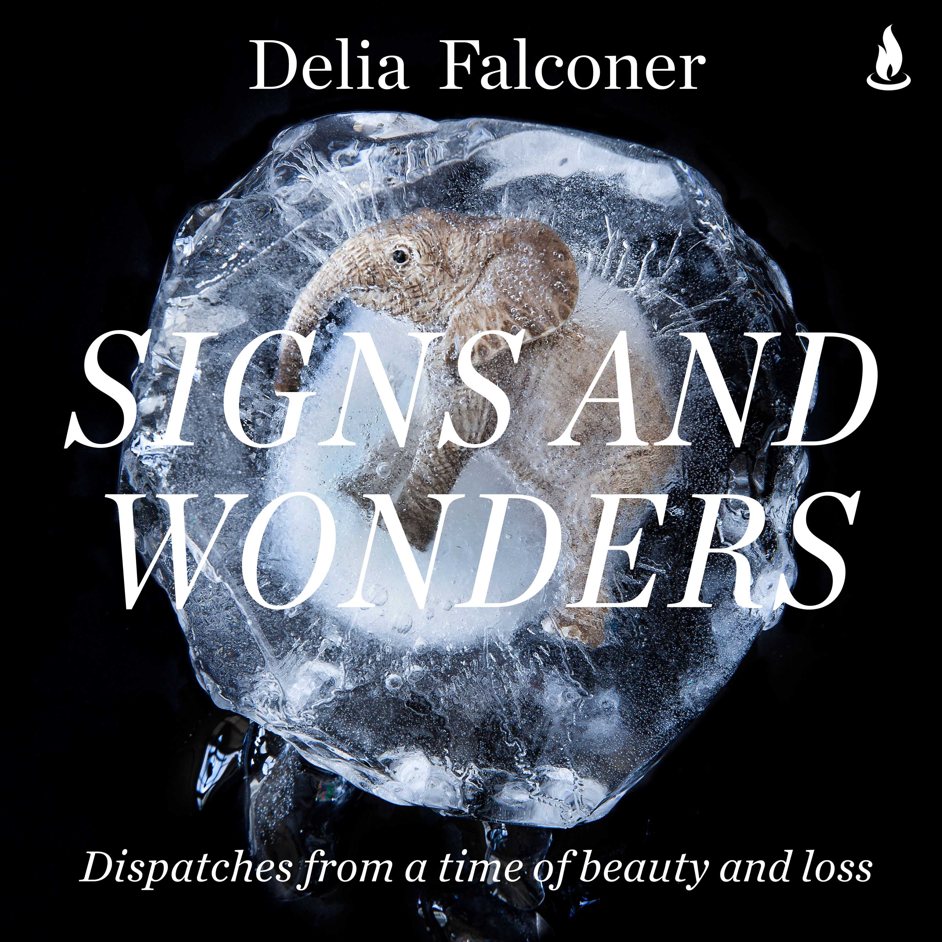 Signs and Wonders: Dispatches from a time of beauty and loss (Audible Audio)