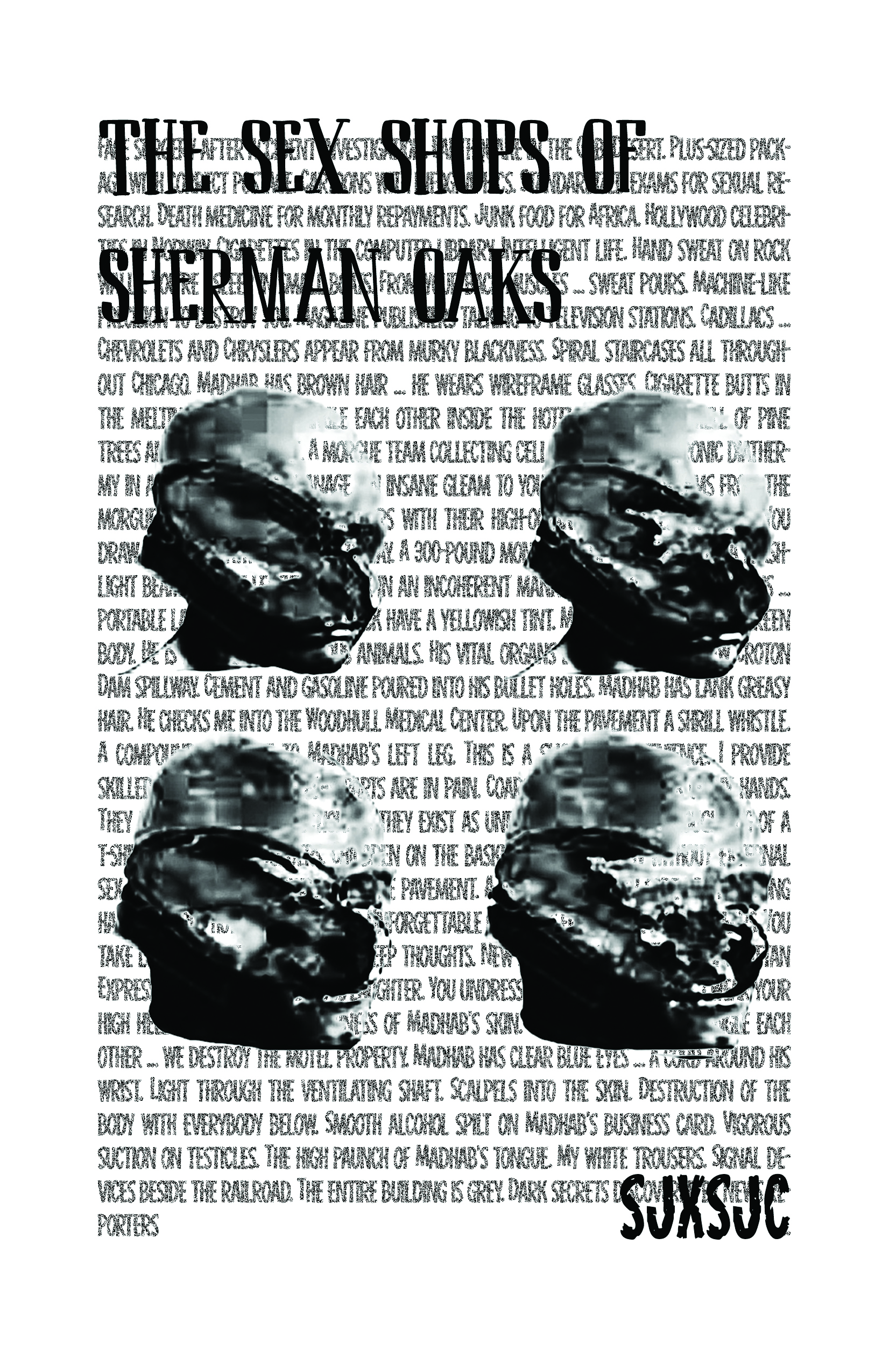 The Sex Shops of Sherman Oaks (Paperback)