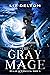 The Gray Mage by Liz Delton