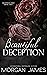 Beautiful Deception (Deception Duet #2)