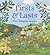 Firsts and Lasts by Leda Schubert