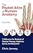 The Pocket Atlas of Human Anatomy, Revised Edition: A Reference for Students of Physical Therapy, Medicine, Sports, and Bodywork