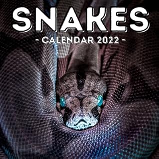 Snakes Calendar 2022: 16-Month Calendar, Cute Gift Idea For Snake Lovers Women & Men By Disturbed Potato Press