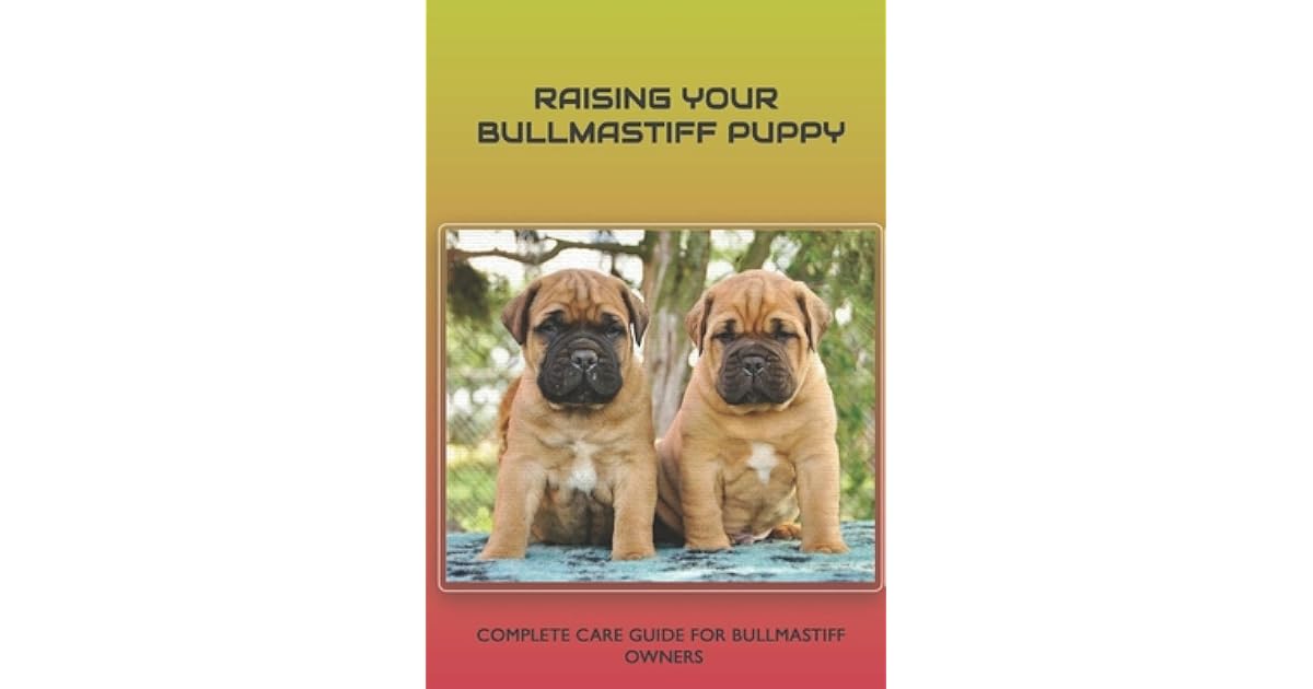 Raising Your Bullmastiff Puppy Complete Care Guide For Bullmastiff