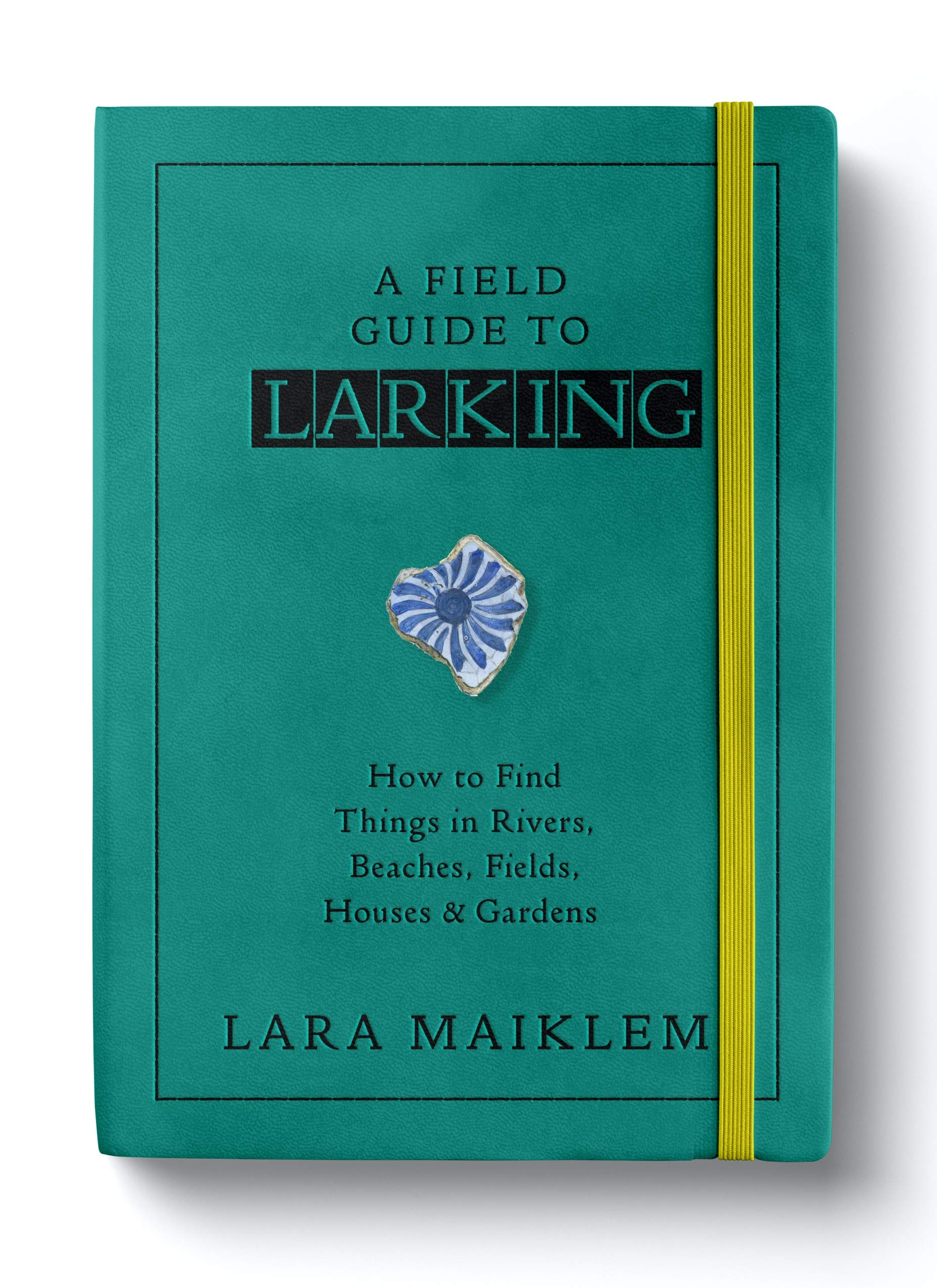 A Field Guide to Larking (Kindle Edition)