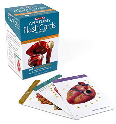 Barron's Anatomy Flash Cards by Ken Ashwell Ph.D., Barrons Educational Series