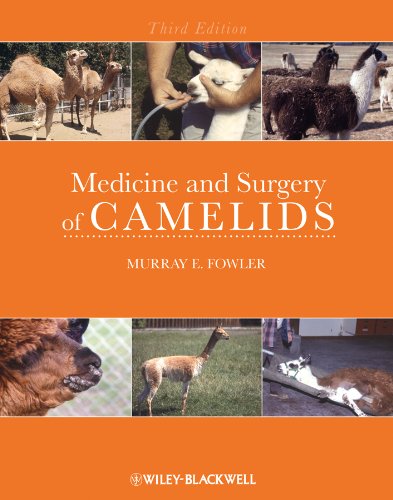 Medicine and Surgery of Camelids by Murray Fowler, Wiley-Blackwell