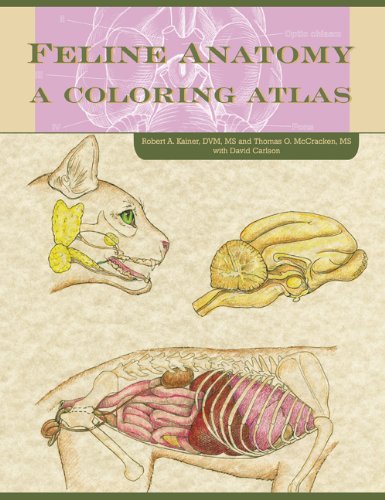 Feline Anatomy: A Coloring Atlas by Thomas O. McCraken, Teton NewMedia