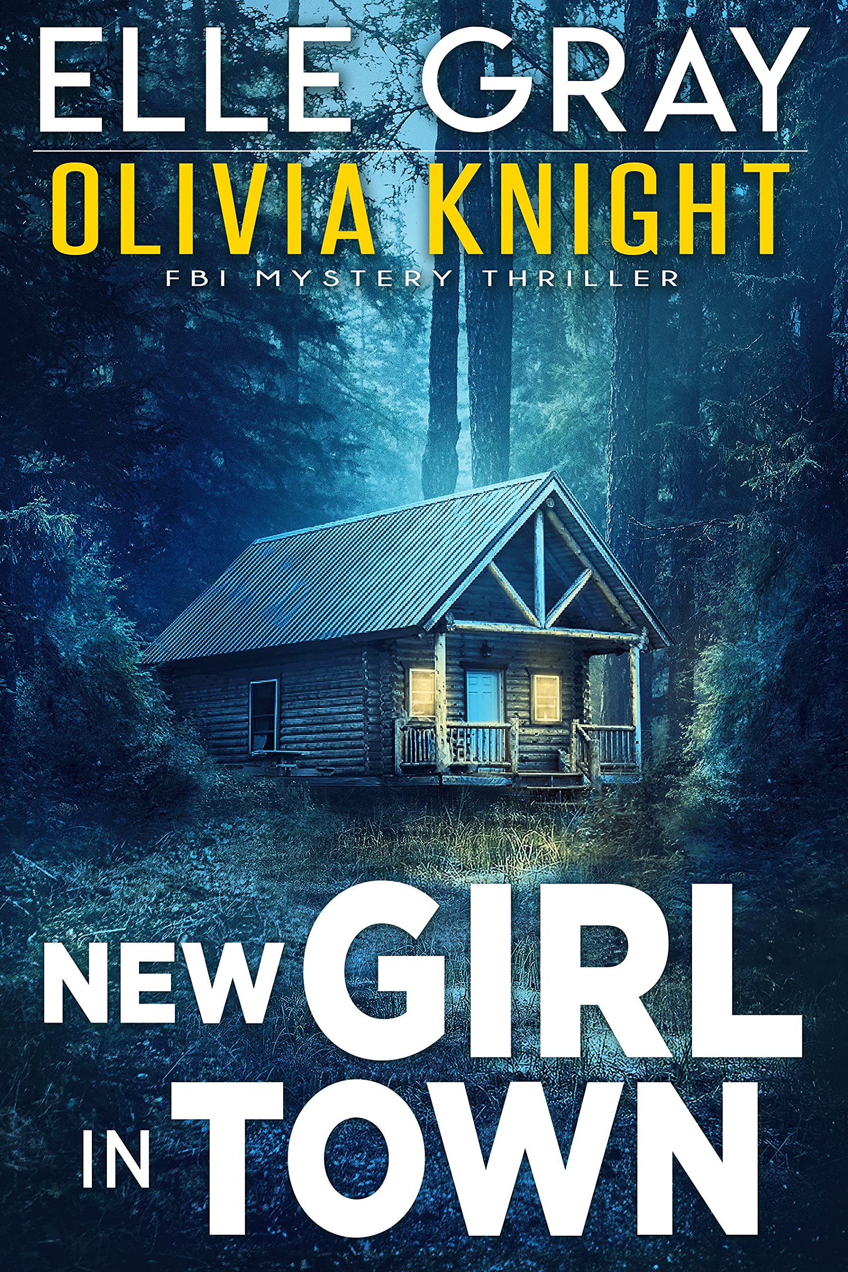 New Girl in Town (Olivia Knight FBI, #1)