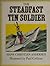 The Steadfast Tin Soldier