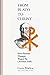 From Plato to Christ: How Platonic Thought Shaped the Christian Faith