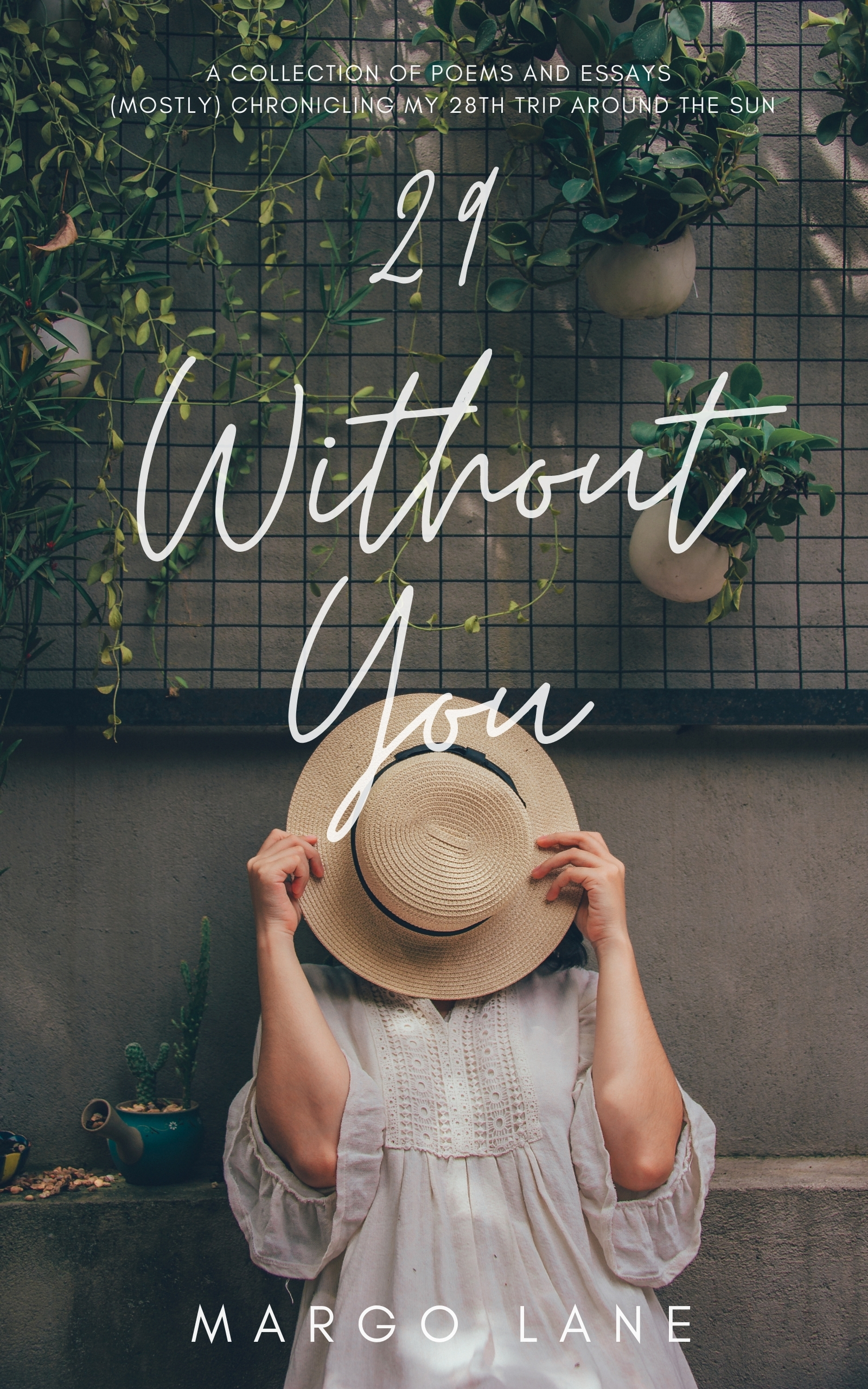 29 Without You: a collection of poems and essays (mostly) chronicling my 28th trip around the sun