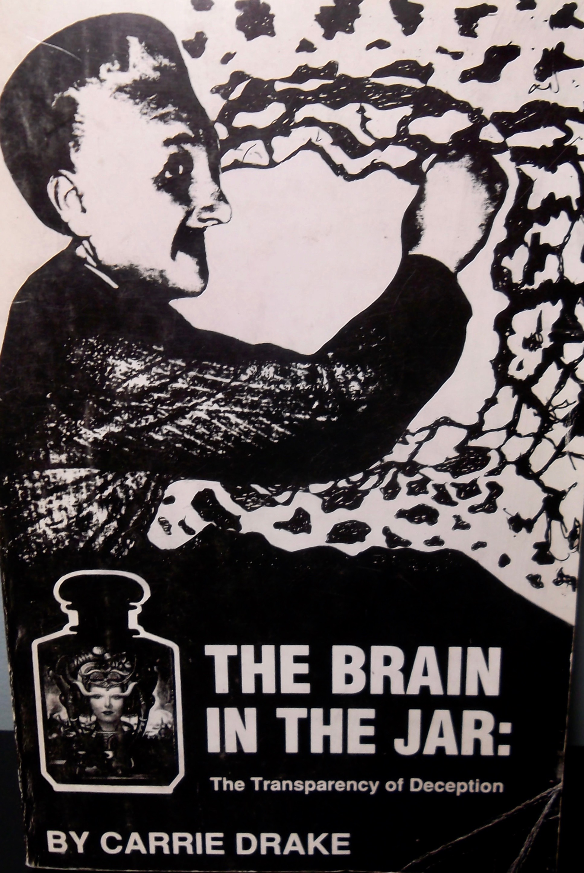 The Brain in the Jar: The Transparency of Deception (Paperback)