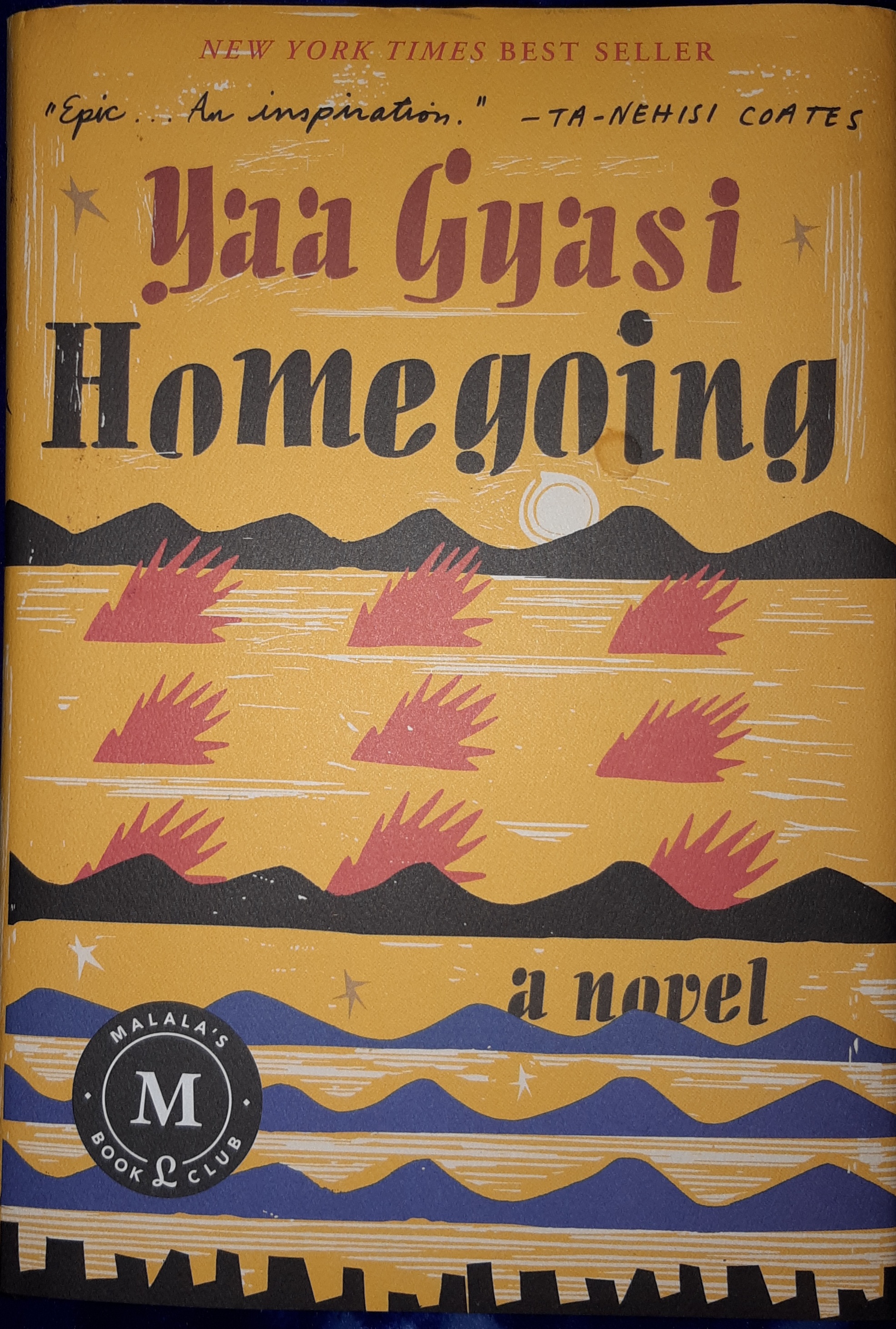 Homegoing: a novel