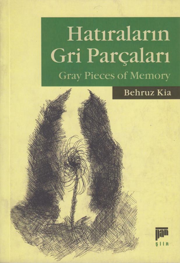 Hatıraların Gri Parçaları Gray Pieces of Memory
