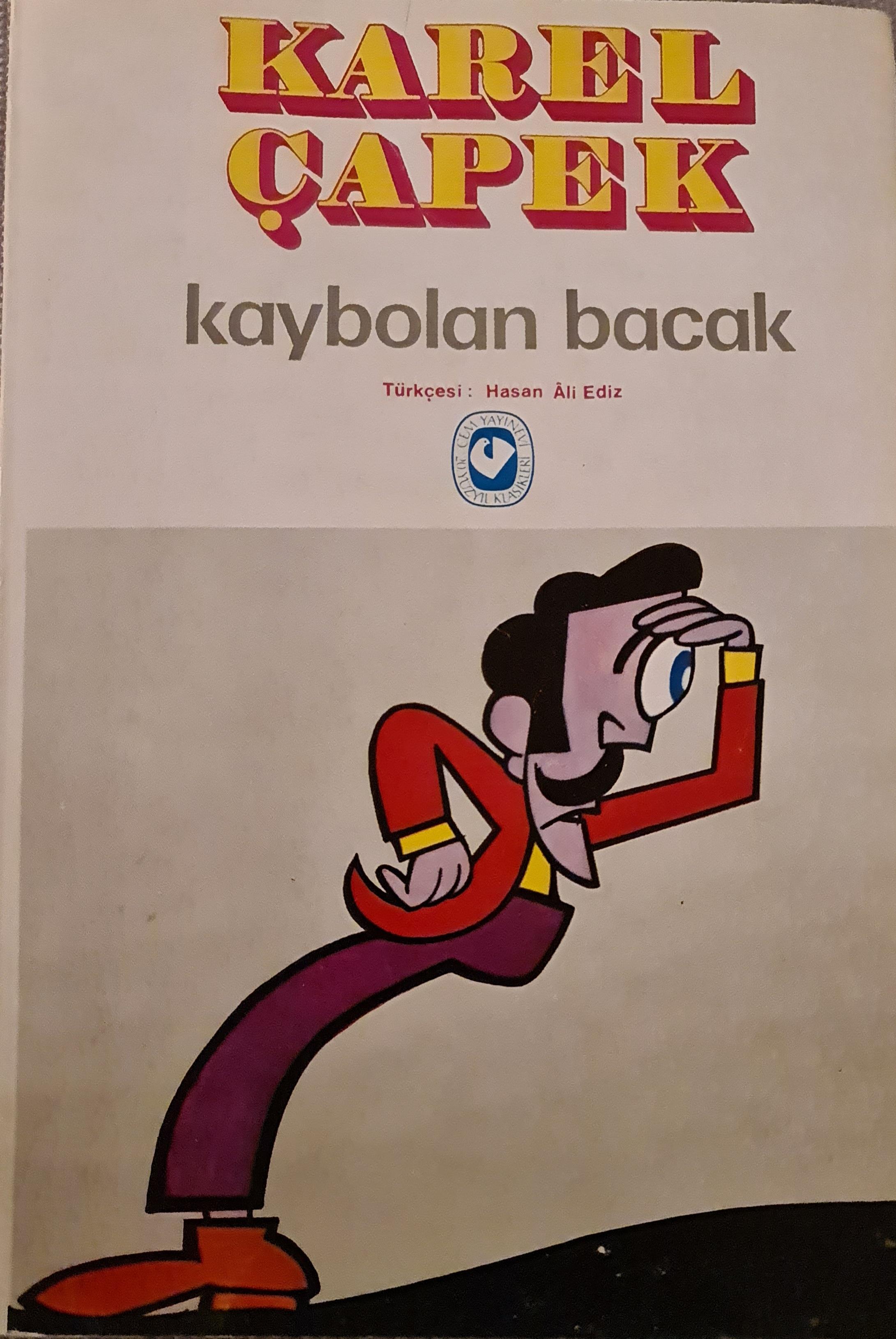 Kaybolan Bacak