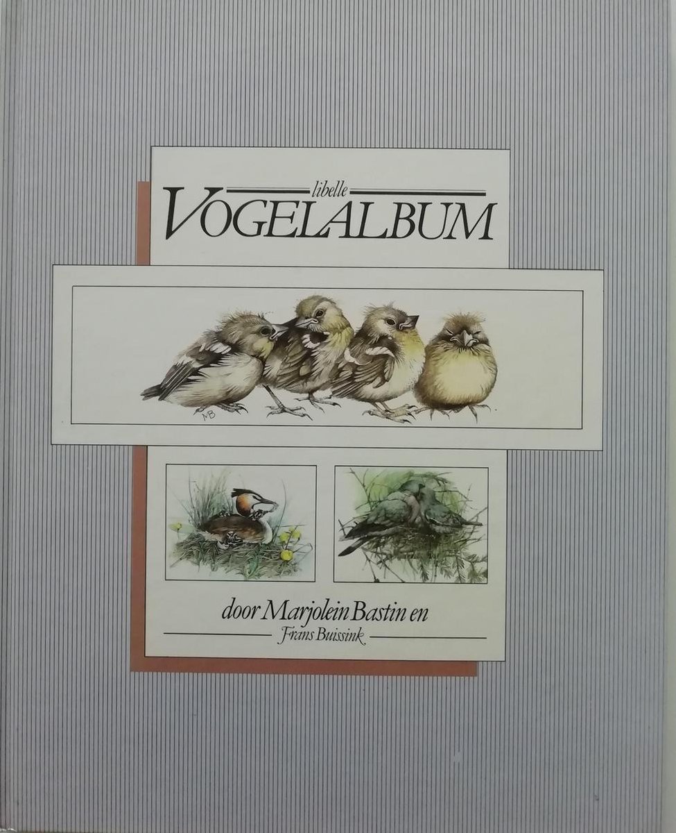 Vogelalbum (Paperback)